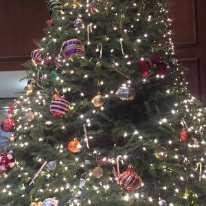 Meet your Posher, Dawa